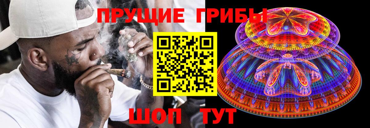Псилоцибиновые грибы GOLDEN TEACHER Шелехов
