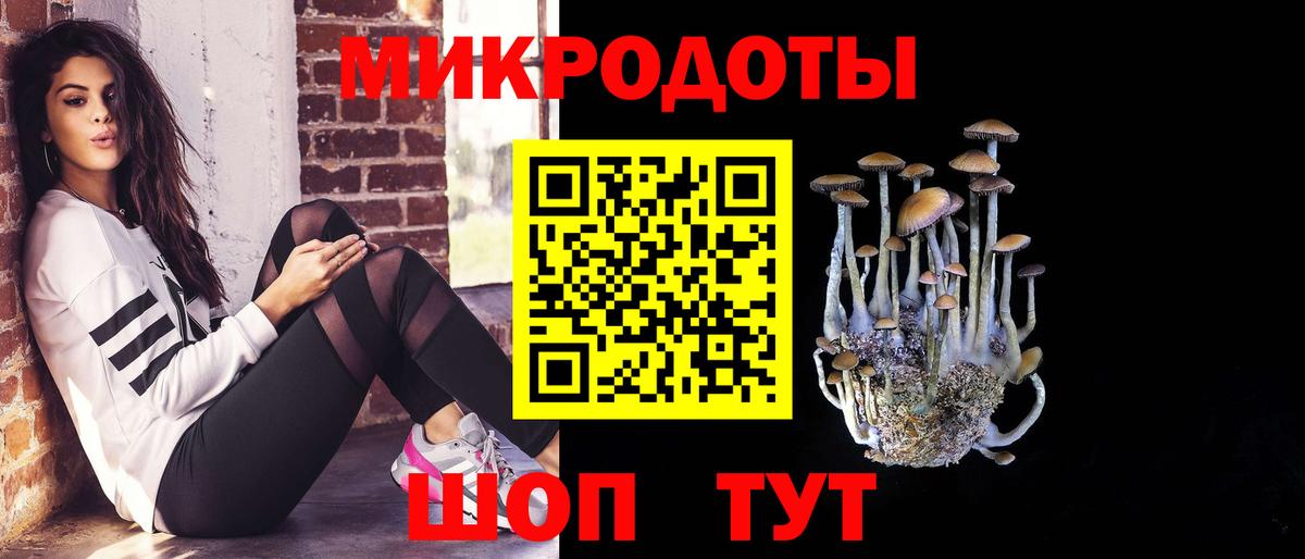 Галлюциногенные грибы Psilocybe  Вход с VPN  Псилоцибиновые грибы Psilocybine cubensis  Шелехов 